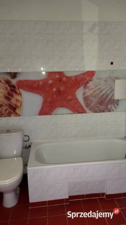 Mieszkanie 53 m2 1 piętro osPatronackie 3 pokoje Ostrowiec Świętokrzyski