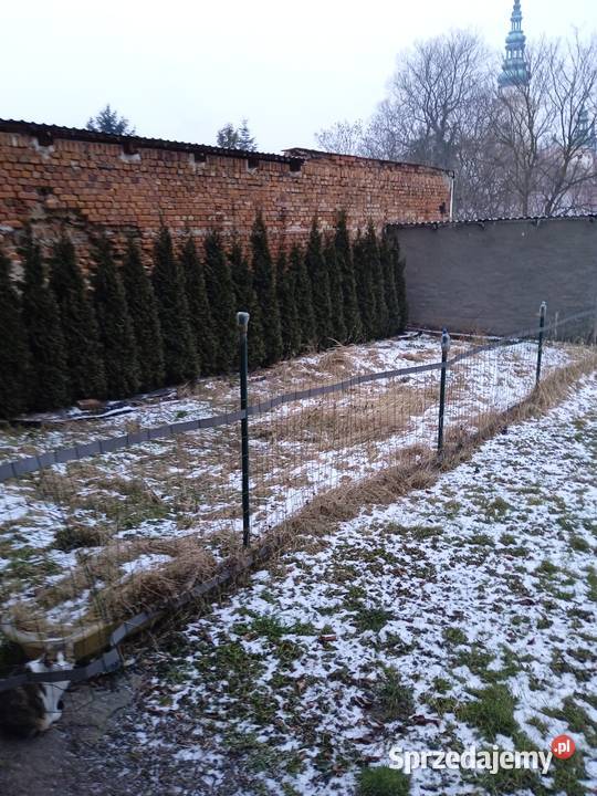 Sprzedam mieszkanie 36 m2 w Henrykowie BEZ Liczba pokoi 2 Henryków