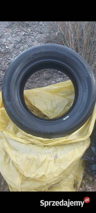 Opony letnie Michelin Primacy 4 20560R16 60 Samochodowe Końskie