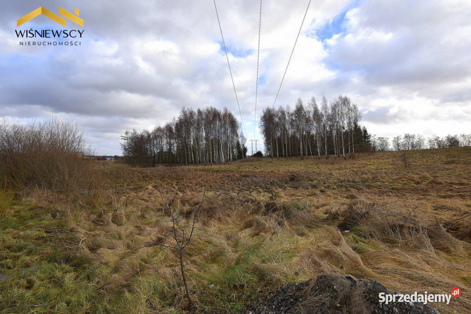 Działka pod zabudowę zagrodową granicy Miasta