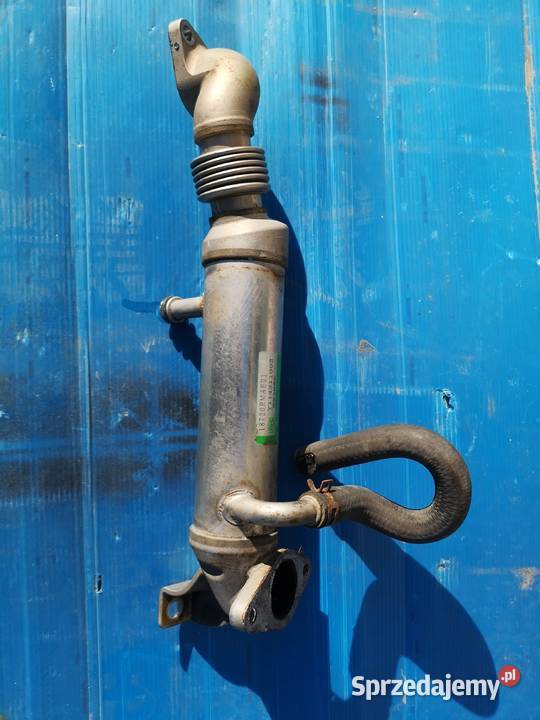 Chłodniczka EGR Honda 22 iCTDI Dziecinów