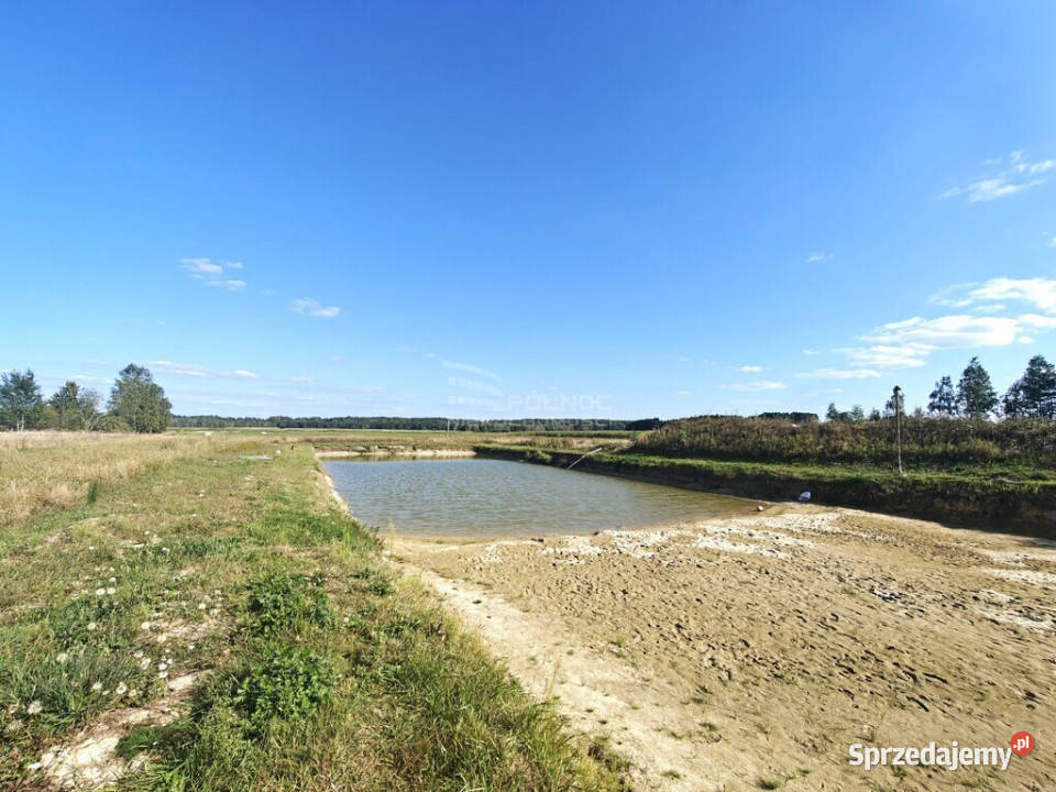 Dom z własnym stawem i plażą spokojna okolica 140m2 lubelskie Zahajki