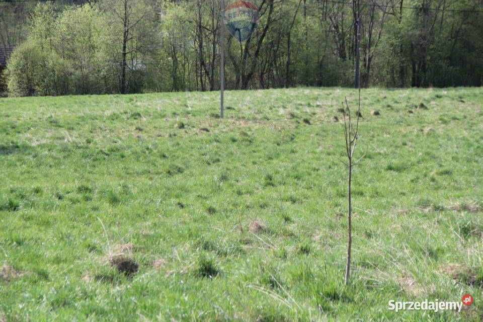 Kompleks działek w miejscowości Skomielna Biała 0m