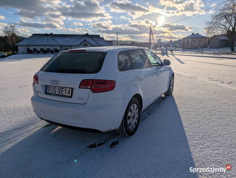 Audi A3 8P Lift 19TDI Hatchback Jasło