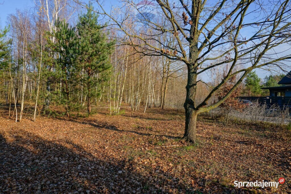 Działka budowlana 1004m2 Grądy k Żyrardowa Sprzedaż sprzedam