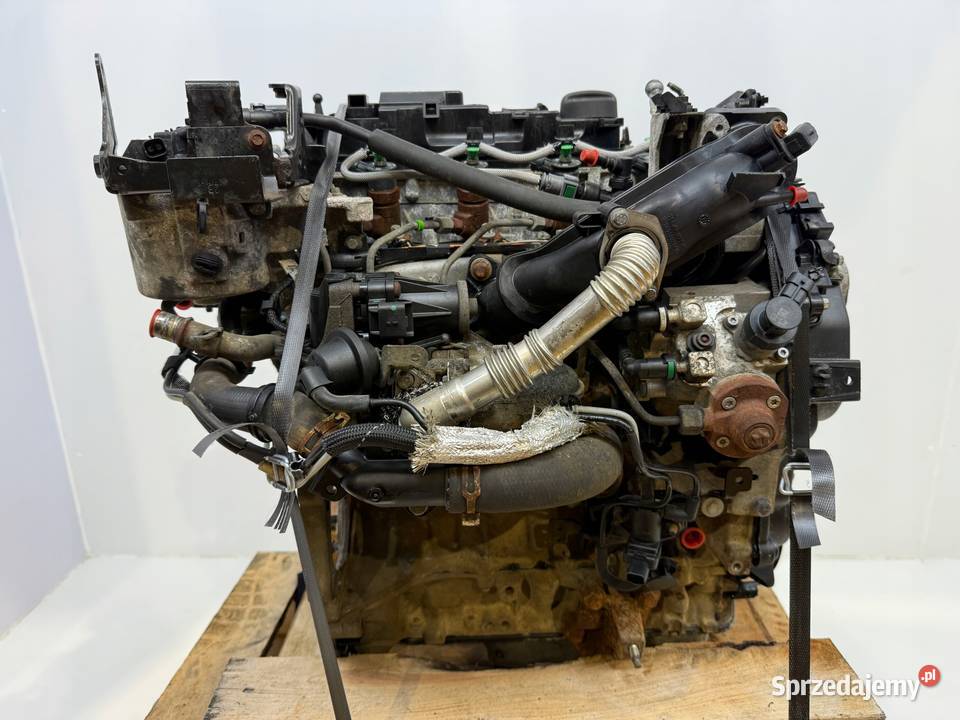 SILNIK UGJC Ford Fiesta VII MK7 B B 15 TDCI 75 Chełm