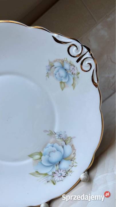 Patera Montfort Staffordshire Biltons England pomorskie Gdańsk