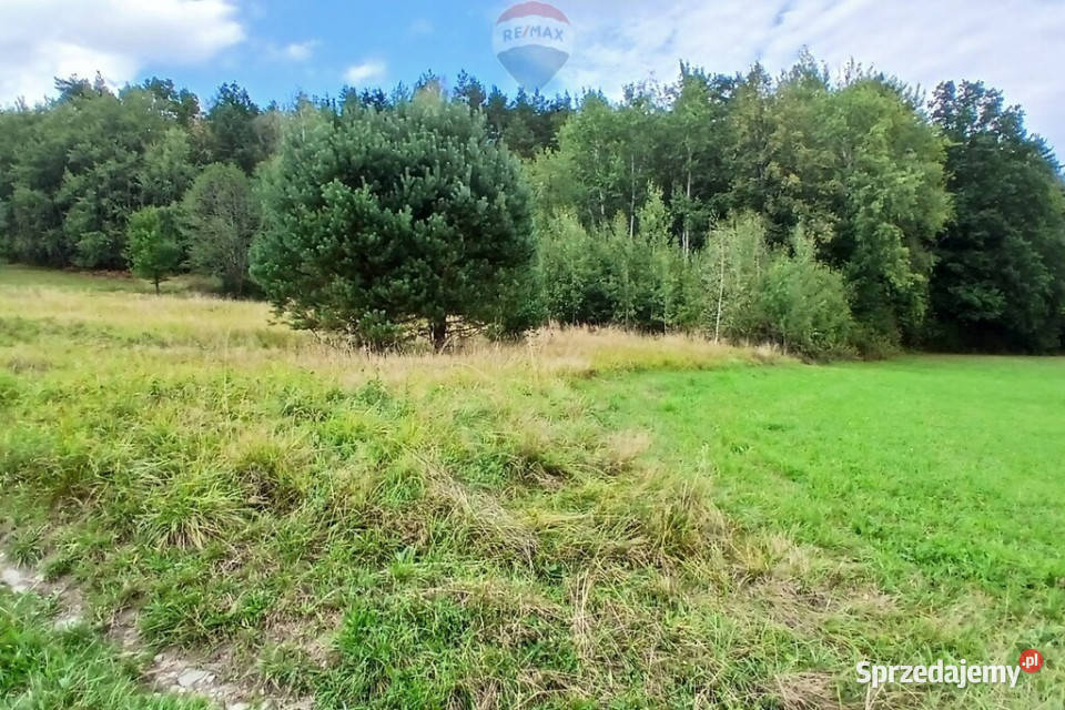 Działka 2100mwydana WZ Stara Wieś sprzedam