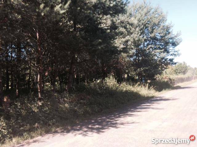 Działka 2200m2 obok lasu Chechło Drugie Chechło Drugie