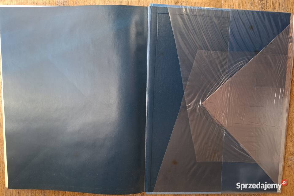 Juliusz KossakMaciej Masłowski sprzedam