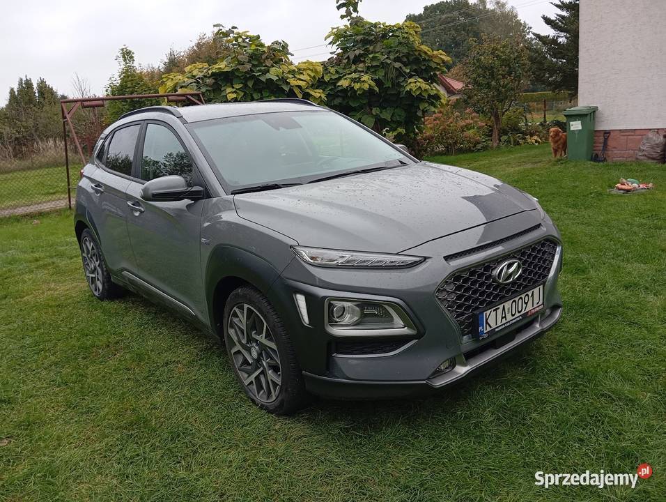 Hyundai kona hybrid 1 6 DCT Premium małopolskie Tarnów