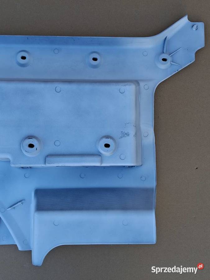 MAN TGX TG3 STOPNICA LEWA OBUDOWA STOPNIA LEWEGO lubuskie Bieleń