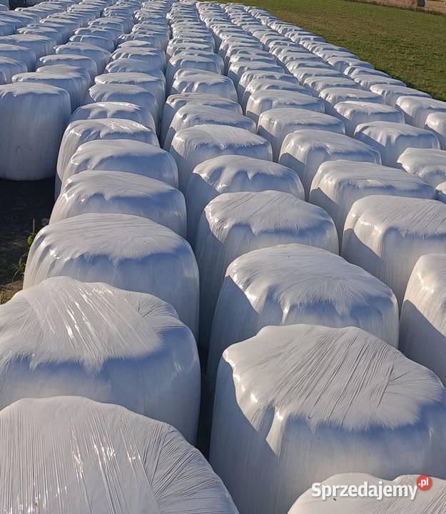 Sprzedam Sianokiszonkę Kutno