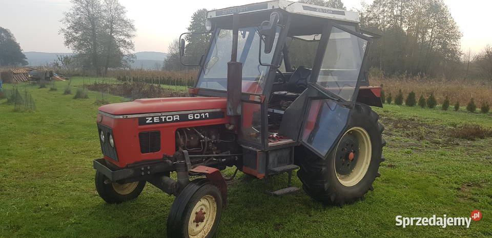 Zetor 6011 Skwierzyna - Sprzedajemy.pl