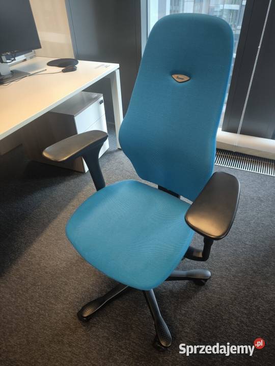 Fotel ergonomiczny Kinnarps Plus jasnoniebieski Warszawa