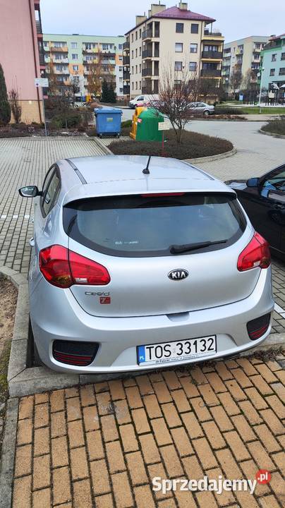 Kia Ceed II Rok produkcji 2015 Kia Ostrowiec Świętokrzyski