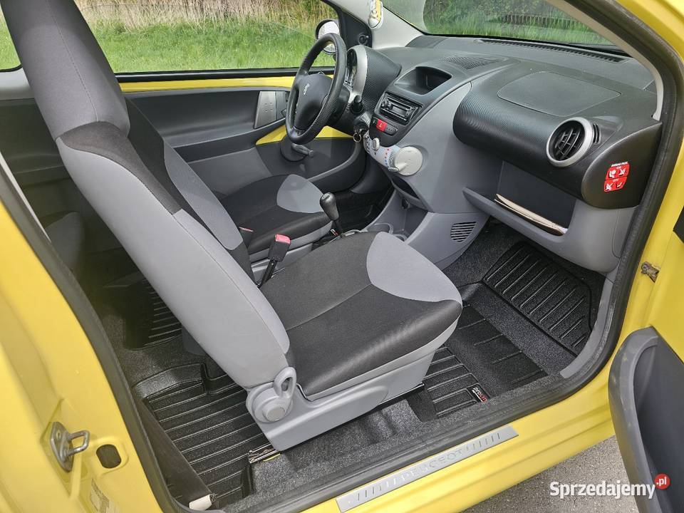 Peugeot 107 10 benzyna Chotynin