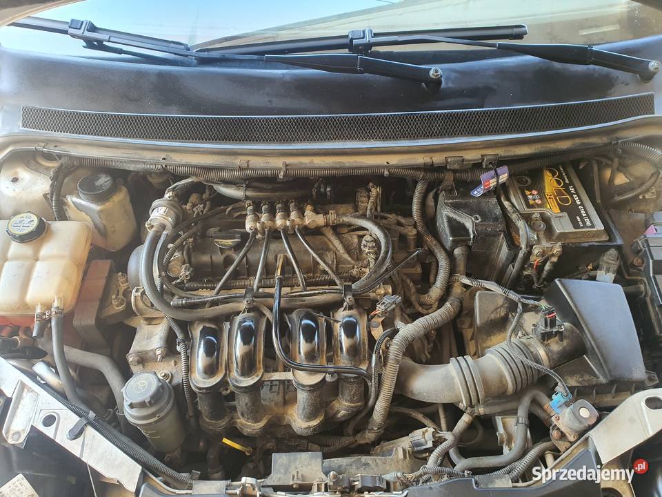 Ford focus 16 benzyna gaz
