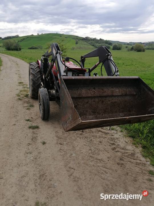 Massey ferguson 135 na zabytek do rej stan Ladzin sprzedam