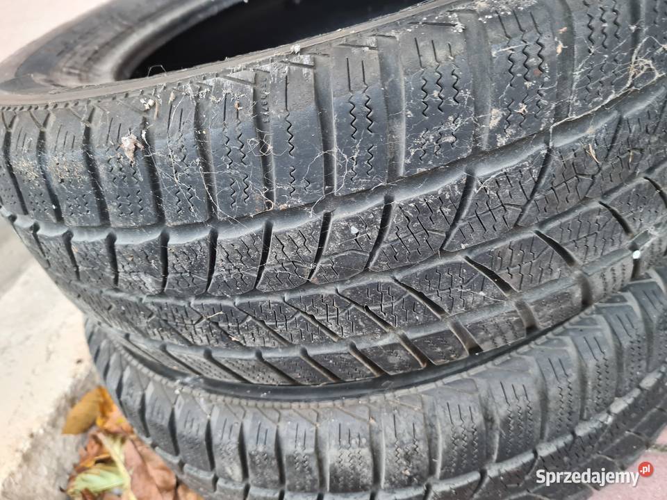 Opony zimowe Barum Polaris 2 19560R15 2