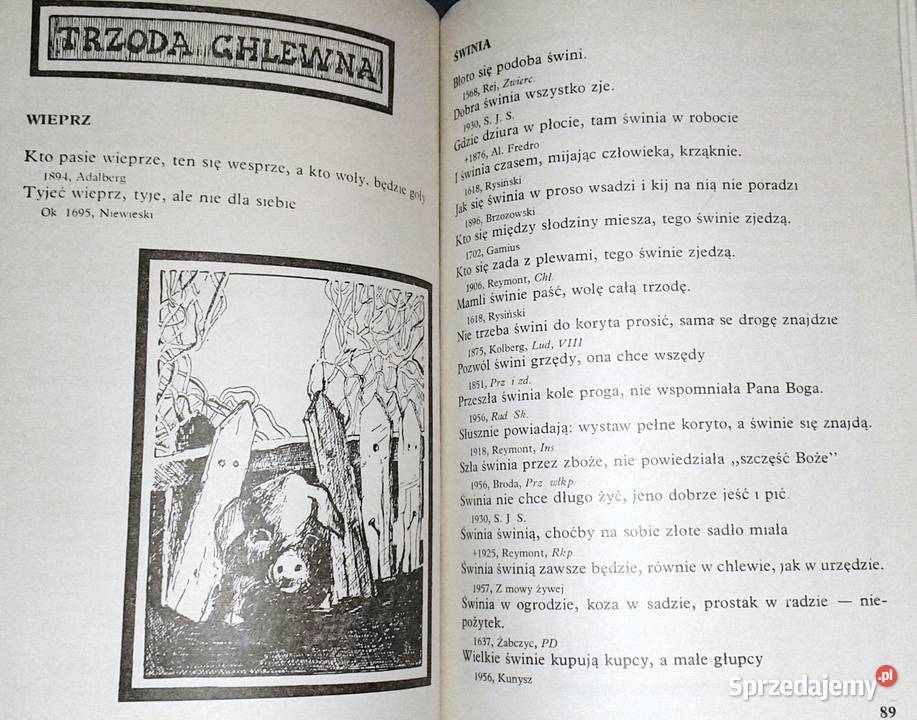 płaci traci Stanisław Świrko Rok wydania 1990