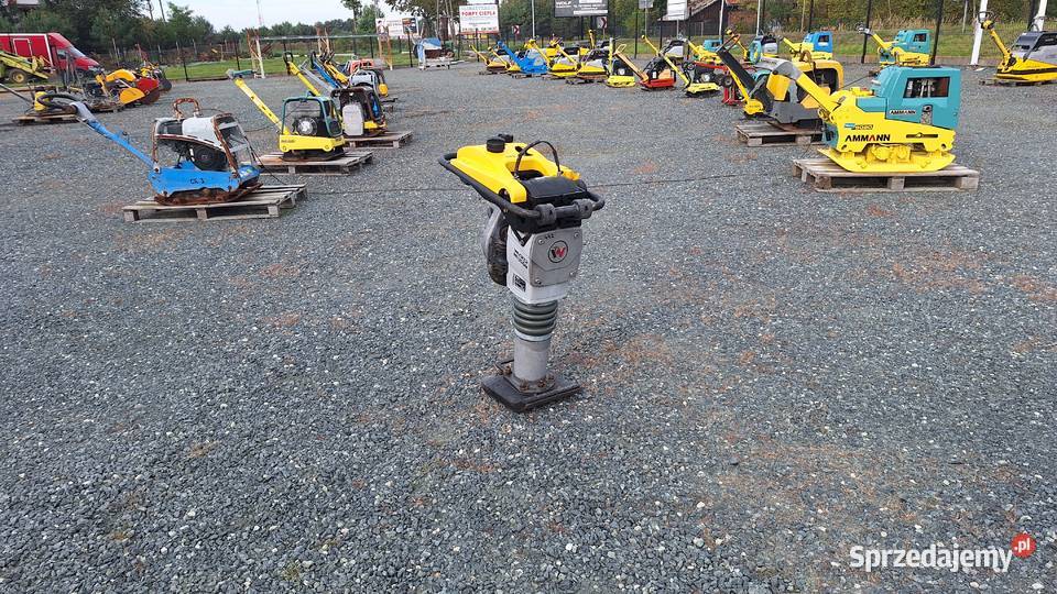 Skoczek Stopa WACKER NEUSON BS 502 plus 11in dolnośląskie Trzebnica sprzedam
