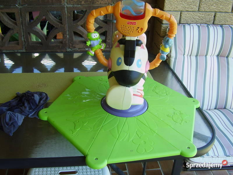 skoczek zebra Fisher Pozostałe