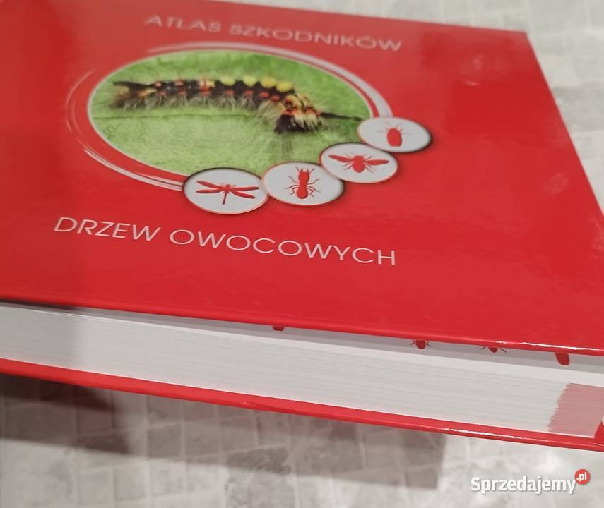 Poradnik książka atlas o szkodnikach drzew