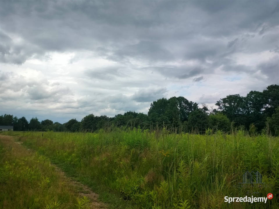 sprzedaży działki 1116m2 Kunów budowlana dolnośląskie sprzedam