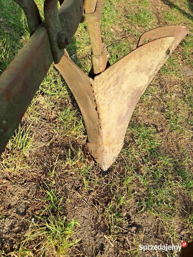 Radło konne do ziemniaków Pyzdry