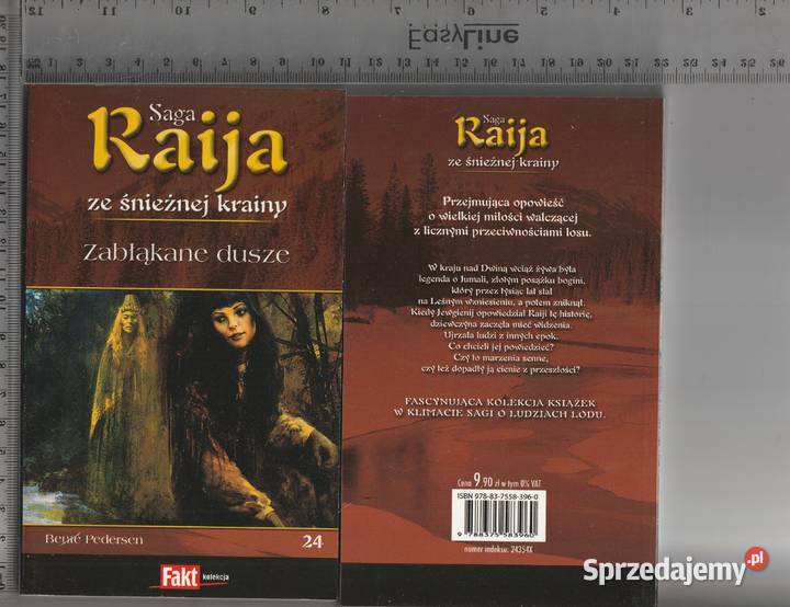 Raija ze śnieżnej krainy Tom 24 Zabłąkane dusze Kultura i Rozrywka Pruszków