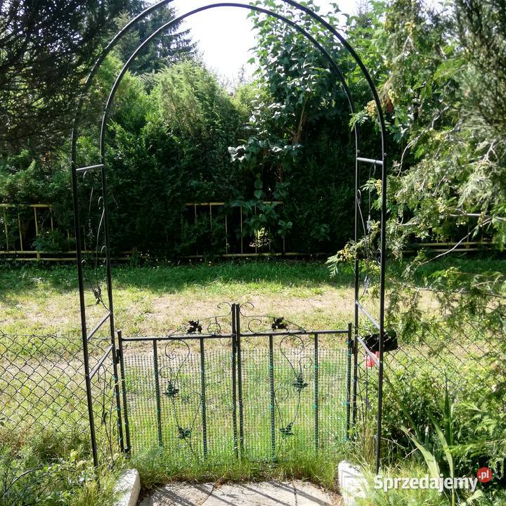 Działka ROD w Łowiczu sprzedam