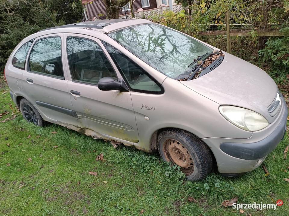 Xsara Pikasso Nowy Dwór Gdański