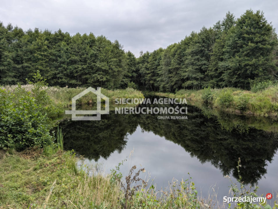 Działka 103582m2 Jaroszewy 10358.2m2 pomorskie