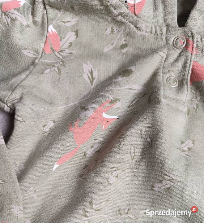 Bluza Lupilu 62 68 bawełna zielona lisy lis chłopiec Szczecin