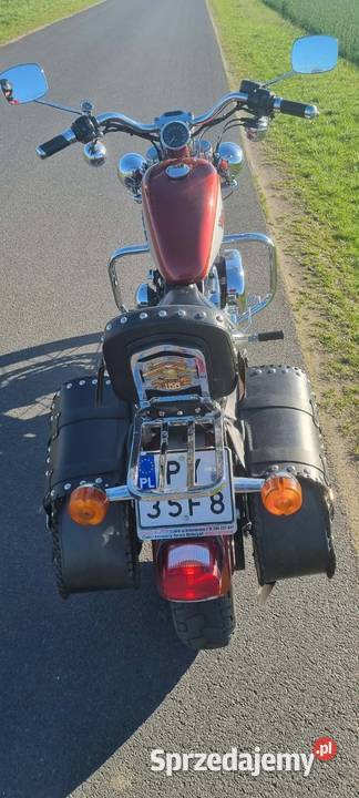 Piękny Harley Sportster XL 1200 przebieg 17000 czterosuwowy Harley-Davidson wielkopolskie Poznań