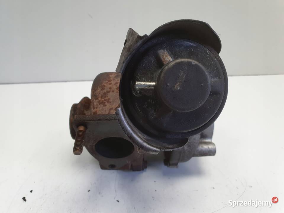 Peugeot Expert II 20 HDI TURBOSPRĘŻARKA turbo osobowe Janów