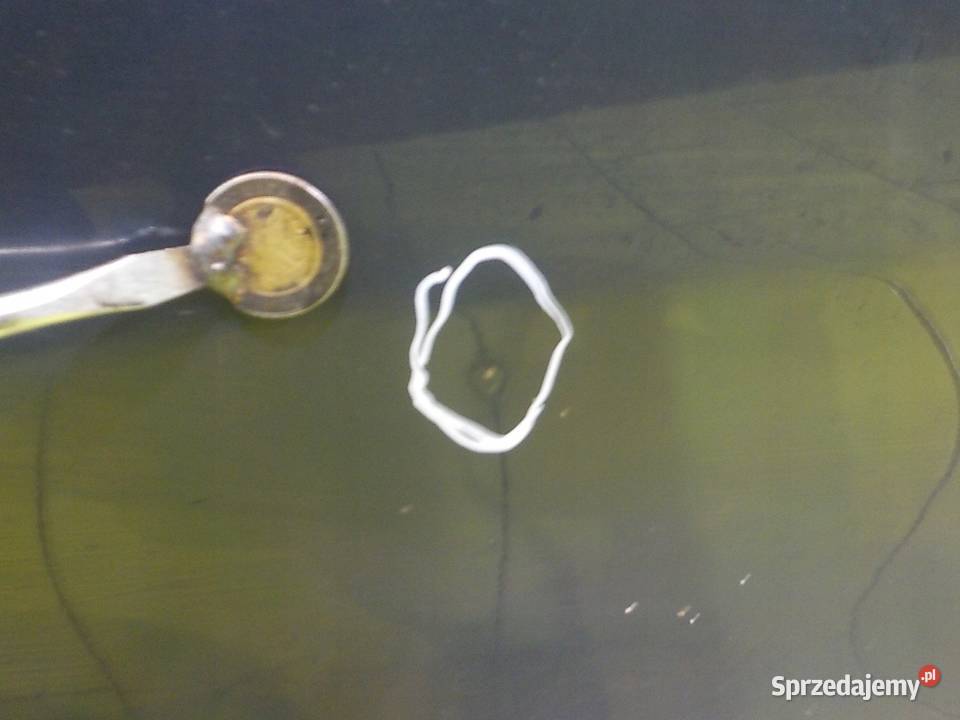 KIA CARENS IV 16 B 14r 5D drzwi prawe przod osobowe Suków sprzedam