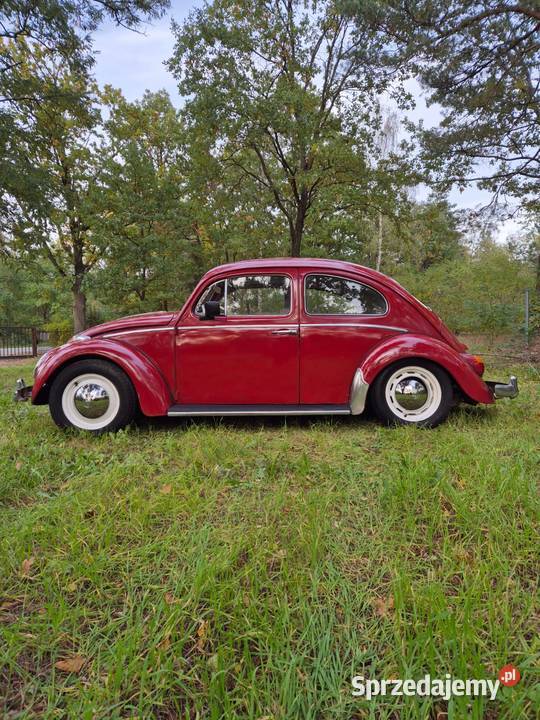 Volkswagen Garbus Dziadek do dopieszczenia 1963 Warszawa