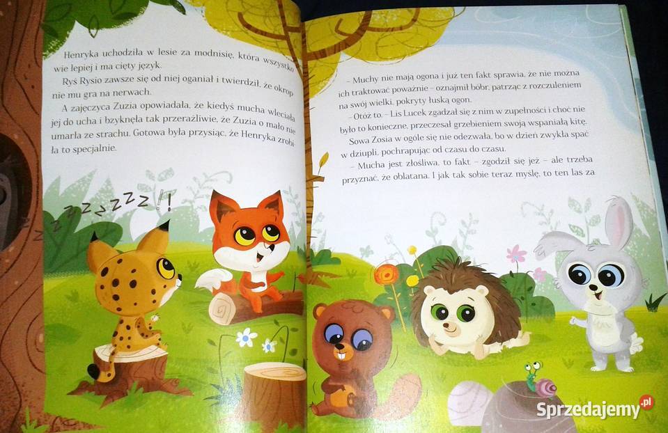 Co się stanie na leśnej polanie czyli Wesołe lubelskie