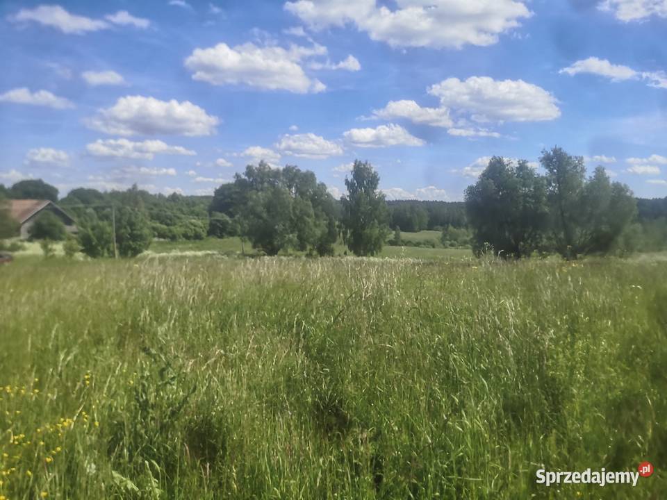 Sprzedam działkę rolną o pow 428ha Sprzedaż warmińsko-mazurskie
