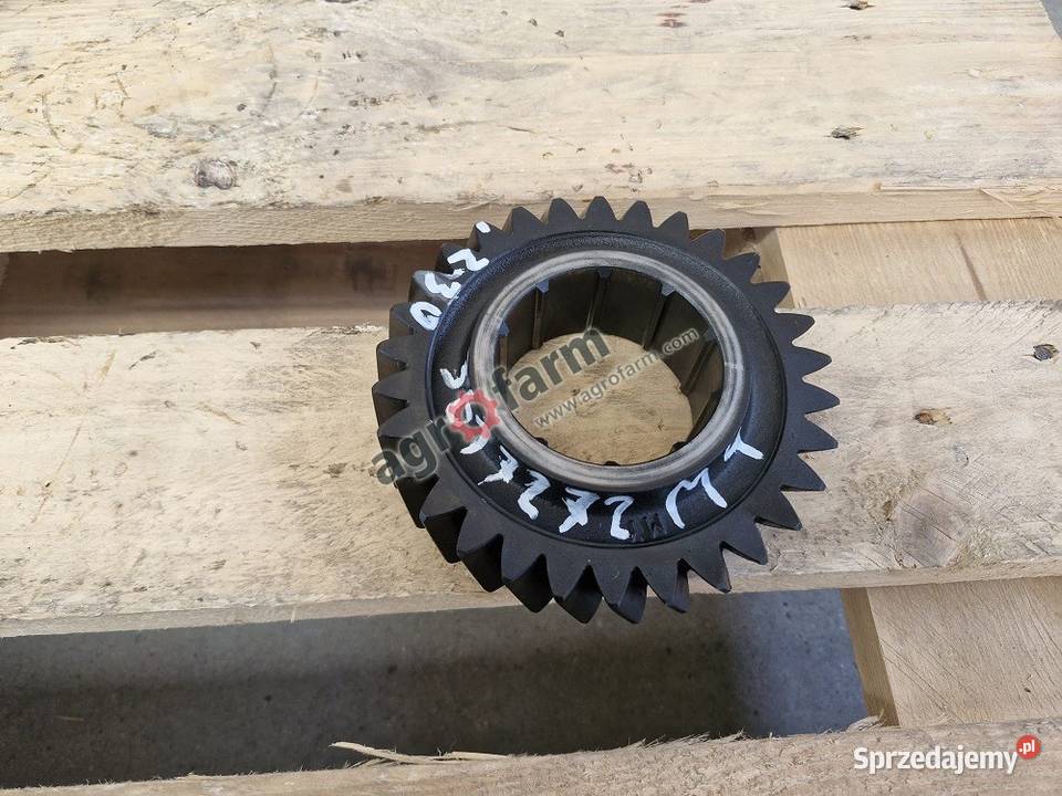 Koło zębate Massey Ferguson 8210 8220 8240 8250
