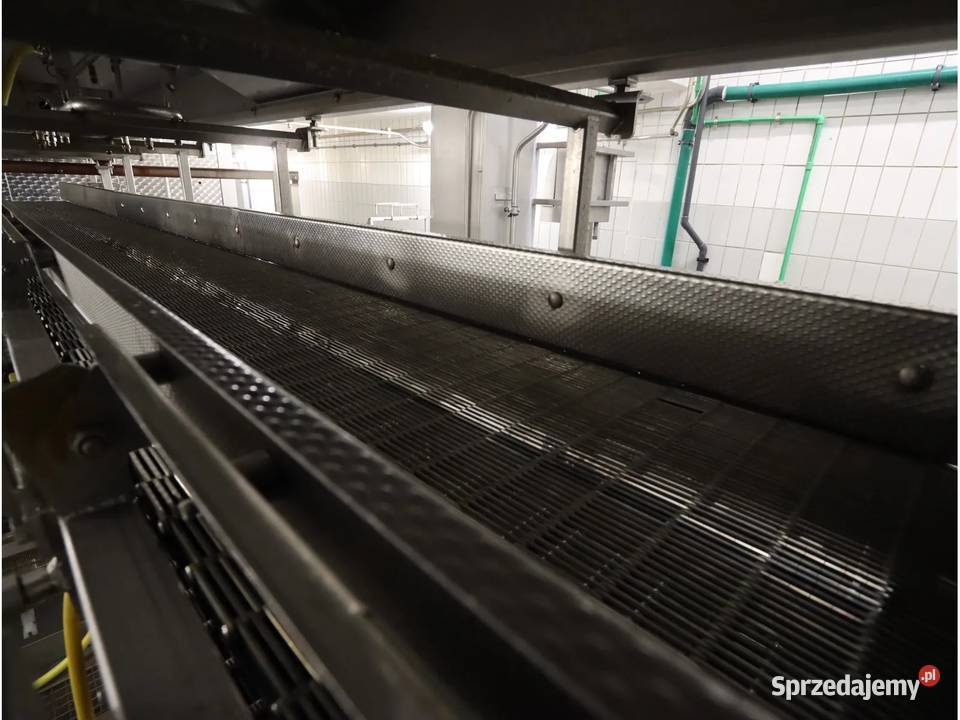 DTS Podwójny zestaw przenośników śrubowych ze