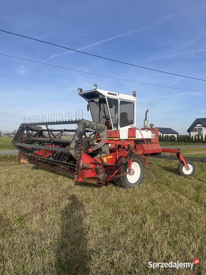 Pokosówka OWATON Topola Królewska