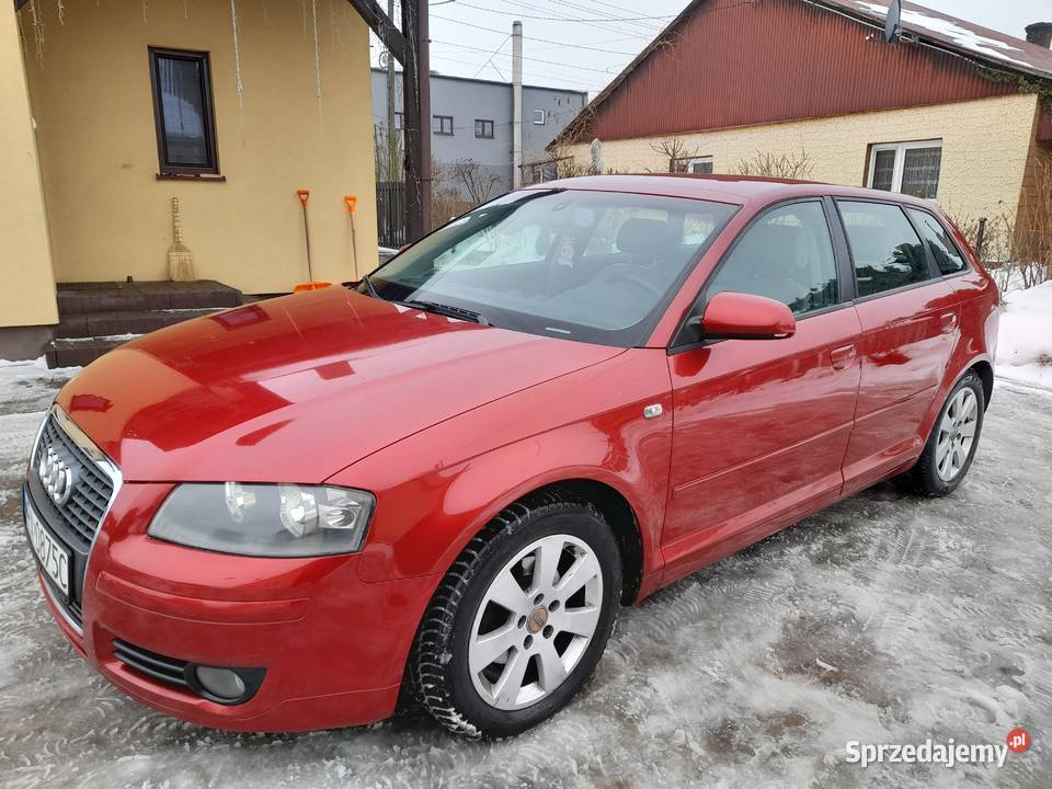 Audi A3 8P19 tdi 105 koni5 drzwiowahak2006 Rok produkcji 2006 Audi lubelskie Siedliszcze-Osada