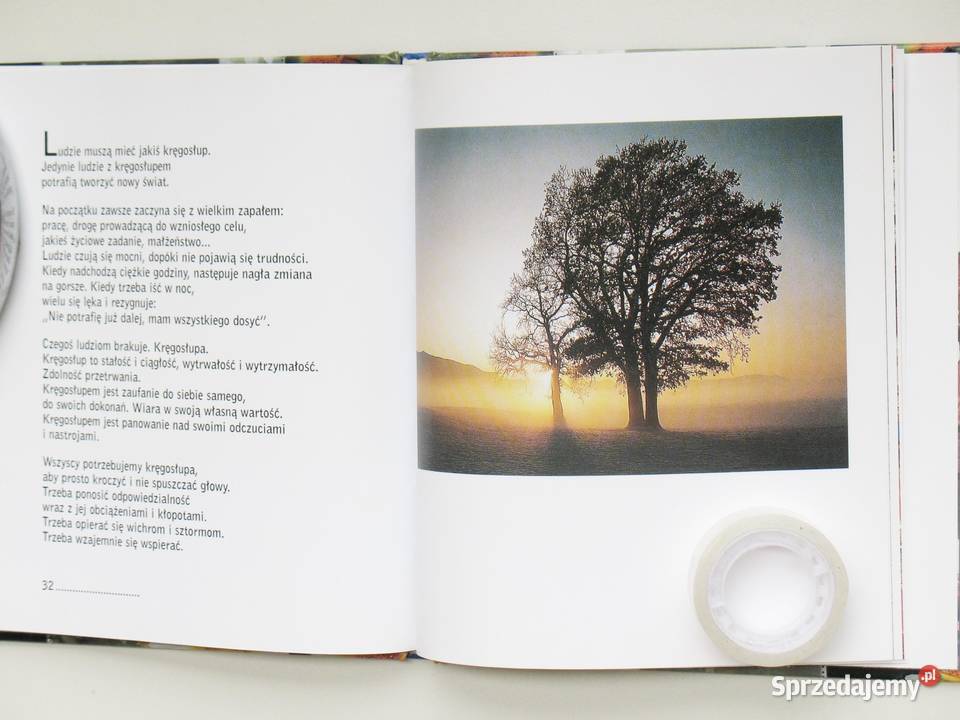 Słoneczne promyki przyjaźni Kraków