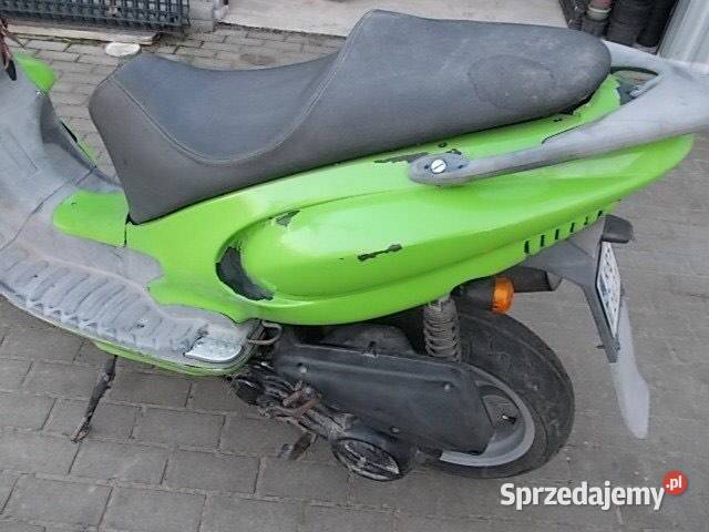 Neta Eikon Sędziszów Małopolski