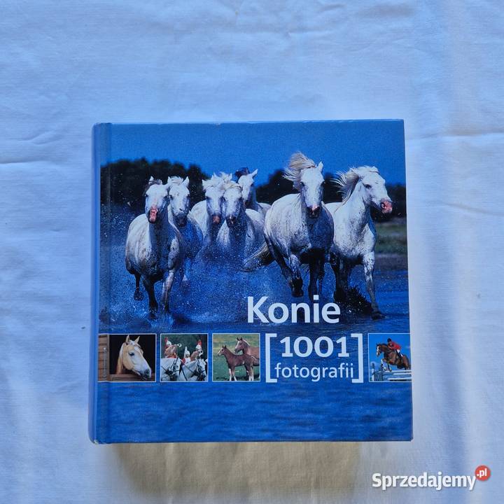 Konie 1001 fotografii książka album piękne Poradniki, albumy i reportaże Brzesko