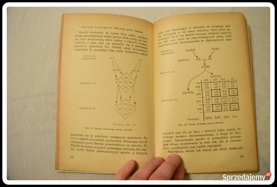 John Paul Podstawy biologii współczesnej