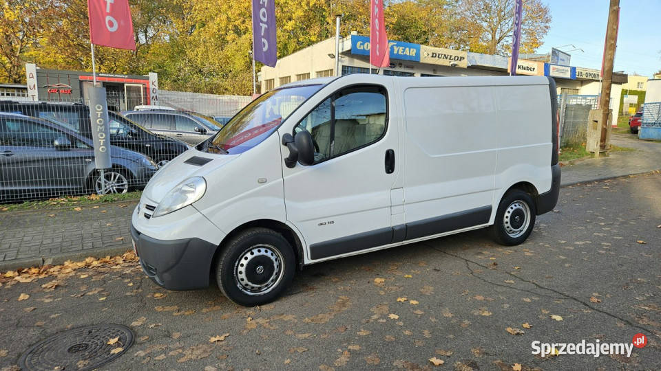 Nissan Primastar elektryczne lusterka zachodniopomorskie Szczecin sprzedam